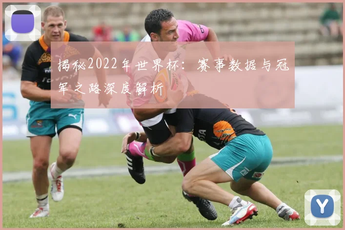 揭秘2022年世界杯:赛事数据与冠军之路深度解析