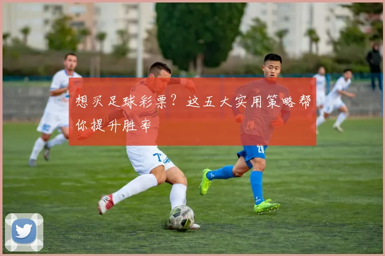 想买足球彩票?这五大实用策略帮你提升胜率