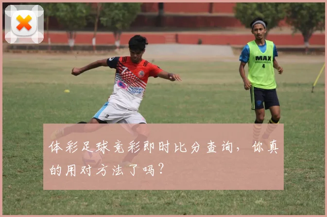 体彩足球竞彩即时比分查询,你真的用对方法了吗?